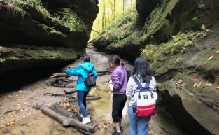 Join IFI's Turkey Run State Park Hiking Event!