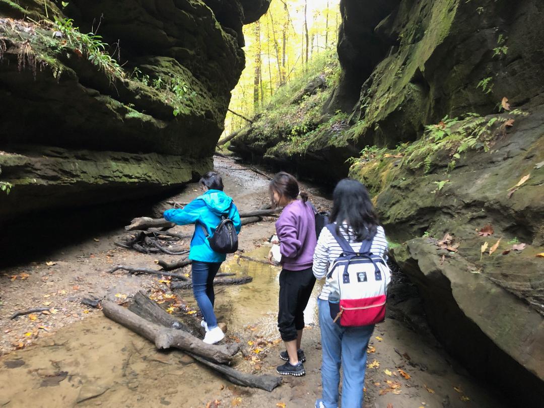 Join IFI's Turkey Run State Park Hiking Event!