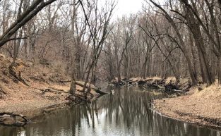 Hike at Lake of the Woods Forest Preserve and tour their Museum