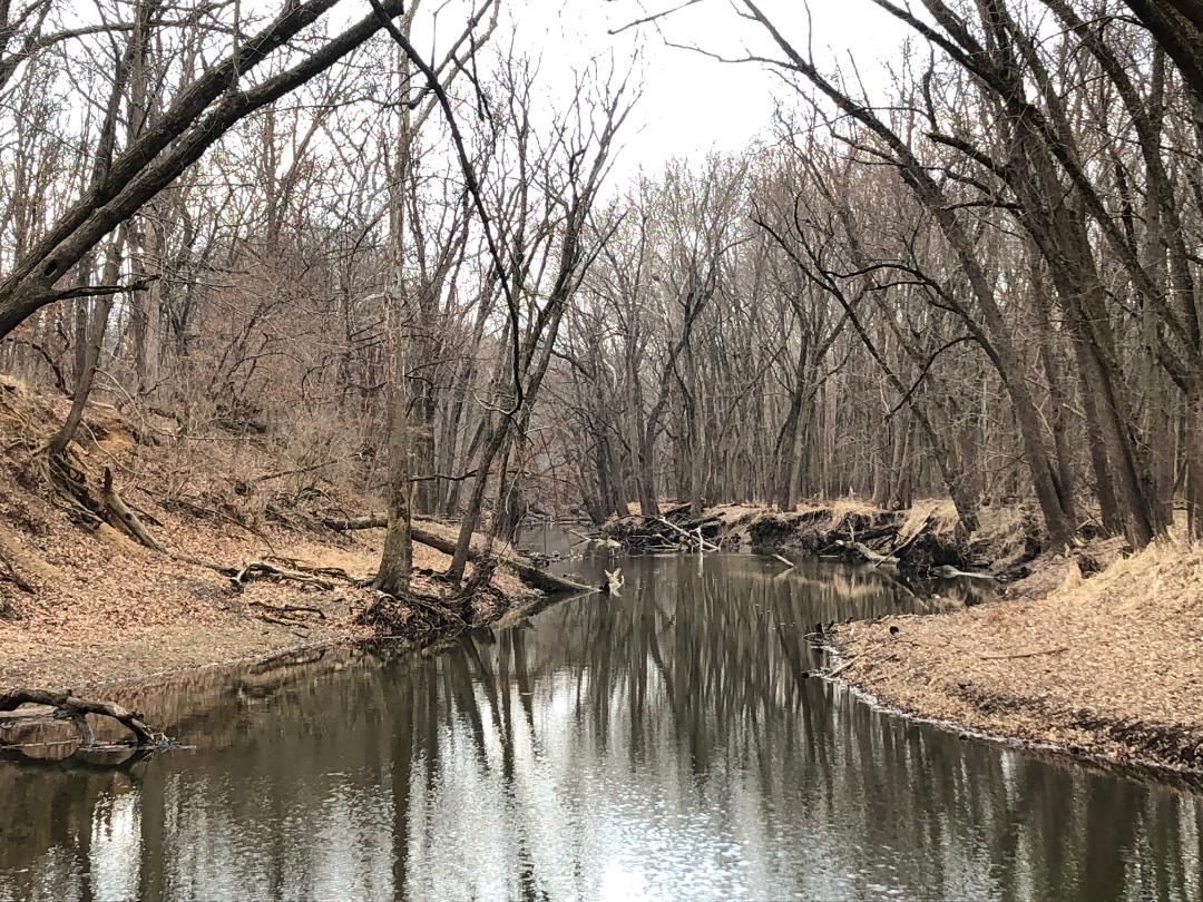 Hike at Lake of the Woods Forest Preserve and tour their Museum
